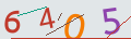 verifycode